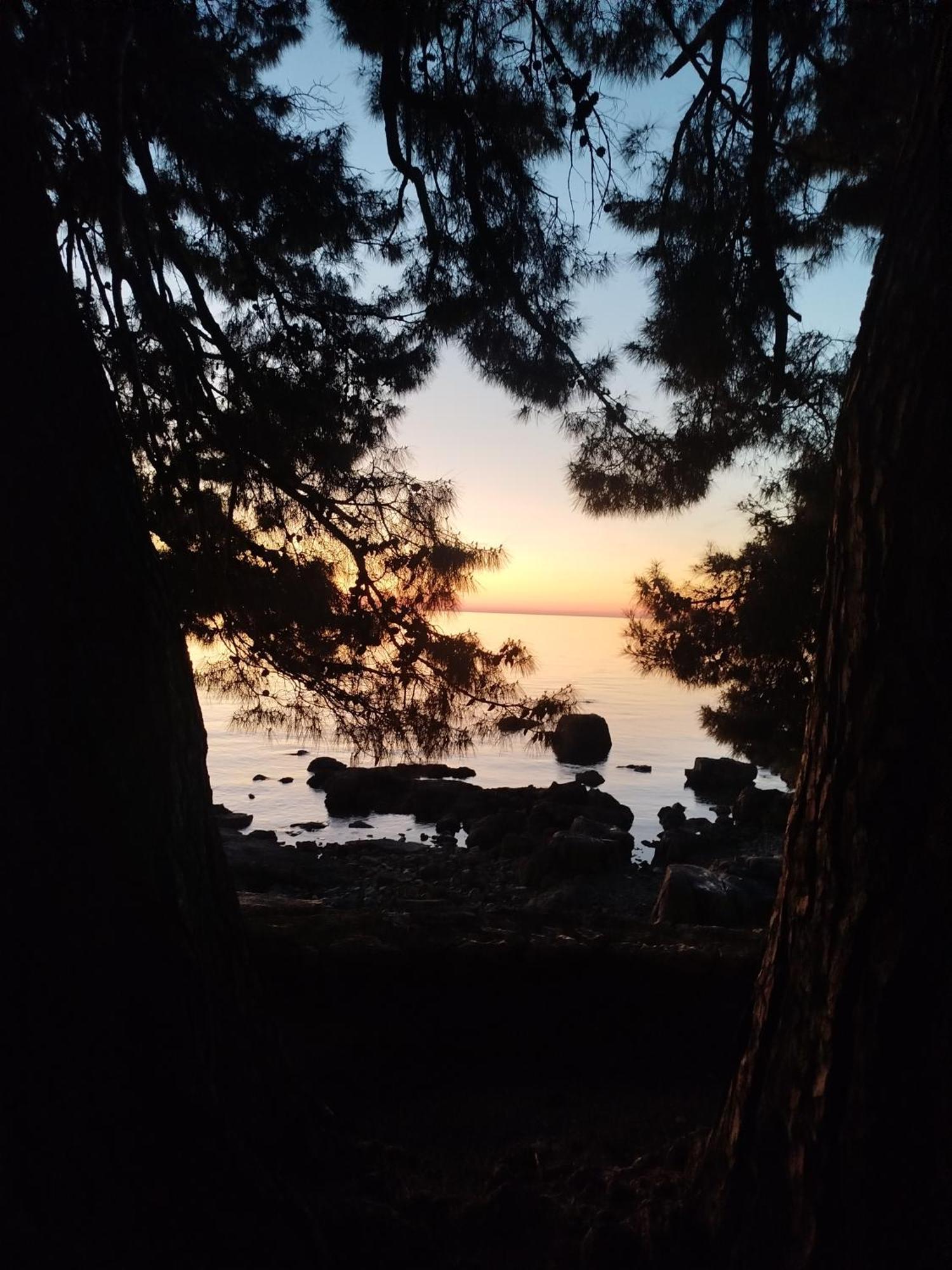 Jordanapartment Poreč Dış mekan fotoğraf